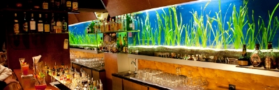 Die Bar mit Aquarium im Hitnergrund